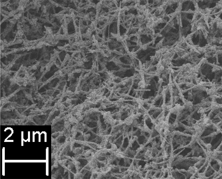 復合材料“增強不增脆”:NanoBarb 1%低載高效方案